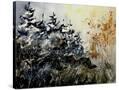 Stretched Canvas