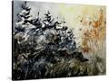 Stretched Canvas