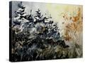 Stretched Canvas