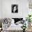 Pola Negri-null-Mounted Photographic Print displayed on a wall