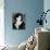 Pola Negri-null-Photographic Print displayed on a wall