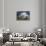 Poland. Composite of Ogrodzieniec Castle-Jaynes Gallery-Stretched Canvas displayed on a wall