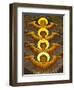 Poland, Cracow, Extraordinary Art Nouveau Decoration in the Franciscan Church, Designed by Stanisla-Katie Garrod-Framed Photographic Print