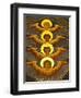 Poland, Cracow, Extraordinary Art Nouveau Decoration in the Franciscan Church, Designed by Stanisla-Katie Garrod-Framed Photographic Print