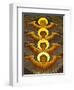 Poland, Cracow, Extraordinary Art Nouveau Decoration in the Franciscan Church, Designed by Stanisla-Katie Garrod-Framed Photographic Print