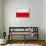 Poland Flag Design with Wood Patterning - Flags of the World Series-Philippe Hugonnard-Stretched Canvas displayed on a wall