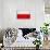 Poland Flag Design with Wood Patterning - Flags of the World Series-Philippe Hugonnard-Stretched Canvas displayed on a wall