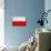 Poland Flag Design with Wood Patterning - Flags of the World Series-Philippe Hugonnard-Art Print displayed on a wall