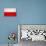 Poland Flag Design with Wood Patterning - Flags of the World Series-Philippe Hugonnard-Stretched Canvas displayed on a wall