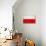 Poland Flag Design with Wood Patterning - Flags of the World Series-Philippe Hugonnard-Stretched Canvas displayed on a wall