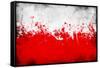 Poland Flag-igor stevanovic-Framed Stretched Canvas