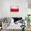 Poland Flag-igor stevanovic-Stretched Canvas displayed on a wall