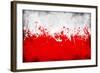 Poland Flag-igor stevanovic-Framed Art Print