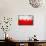 Poland Flag-igor stevanovic-Mounted Art Print displayed on a wall