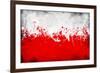 Poland Flag-igor stevanovic-Framed Art Print