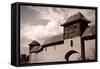 Poland - Malbork-Tupungato-Framed Stretched Canvas