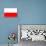 Poland National Flag Poster Print-null-Poster displayed on a wall