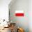 Poland National Flag Poster Print-null-Poster displayed on a wall