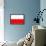 Poland National Flag Poster Print-null-Framed Poster displayed on a wall