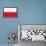 Poland National Flag Poster Print-null-Framed Poster displayed on a wall