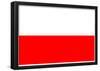 Poland National Flag Poster Print-null-Framed Poster