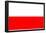 Poland National Flag Poster Print-null-Framed Poster