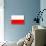 Poland National Flag Poster Print-null-Mounted Poster displayed on a wall