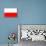 Poland National Flag Poster Print-null-Mounted Poster displayed on a wall