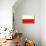 Poland National Flag Poster Print-null-Mounted Poster displayed on a wall