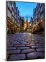 Poland, Pomeranian Voivodeship, Gdansk, Old Town, Mariacka Street at twilight-Karol Kozlowski-Mounted Photographic Print