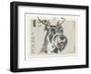 Poland Stamp I on White-Wild Apple Portfolio-Framed Art Print