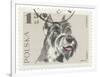 Poland Stamp I on White-Wild Apple Portfolio-Framed Art Print