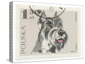 Poland Stamp I on White-Wild Apple Portfolio-Stretched Canvas