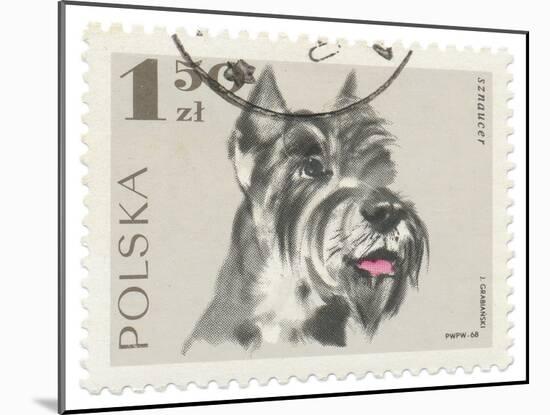 Poland Stamp I on White-Wild Apple Portfolio-Mounted Art Print
