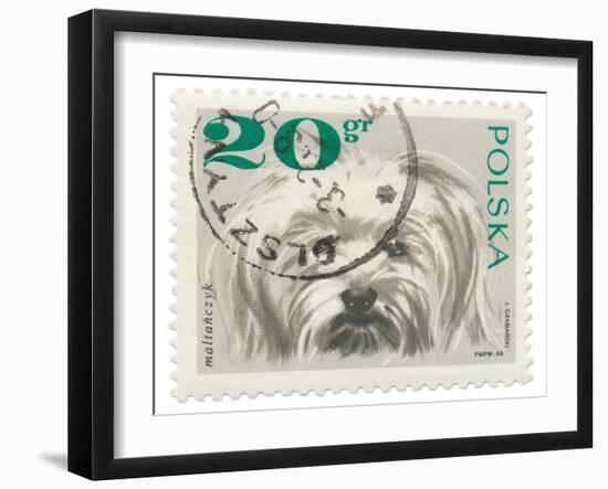 Poland Stamp II on White-Wild Apple Portfolio-Framed Art Print