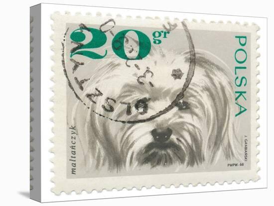 Poland Stamp II on White-Wild Apple Portfolio-Stretched Canvas
