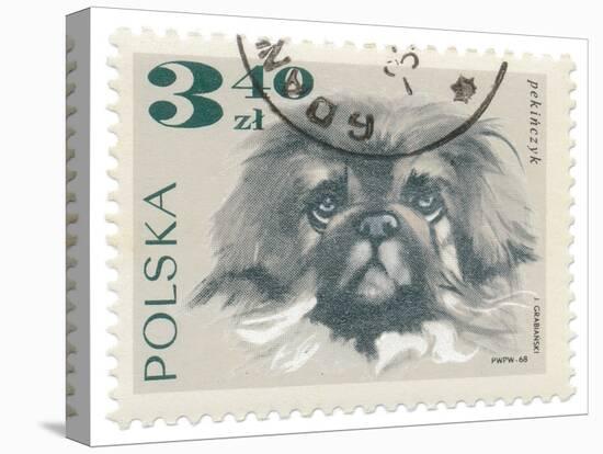 Poland Stamp III on White-Wild Apple Portfolio-Stretched Canvas