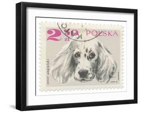 Poland Stamp IV on White-Wild Apple Portfolio-Framed Art Print