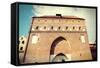 Poland - Torun-Tupungato-Framed Stretched Canvas