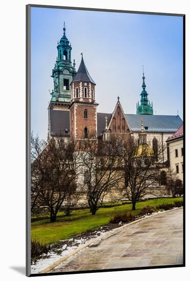 Poland, Wawel Cathedral Complex in Krakow-bloodua-Mounted Photographic Print