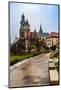 Poland, Wawel Cathedral Complex in Krakow-bloodua-Mounted Photographic Print