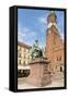 Poland, Wroclaw, Aleksander Fredro Monument on the Rynek, before the Old Town Hall-Roland T. Frank-Framed Stretched Canvas