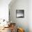 Poland-Maciej Duczynski-Framed Stretched Canvas displayed on a wall