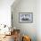 Polar, 2013-Mark Adlington-Framed Giclee Print displayed on a wall