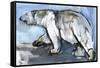 Polar, 2013-Mark Adlington-Framed Stretched Canvas