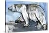 Polar, 2013-Mark Adlington-Stretched Canvas