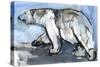 Polar, 2013-Mark Adlington-Stretched Canvas