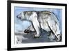 Polar, 2013-Mark Adlington-Framed Premium Giclee Print