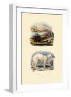 Polar Bear, 1833-39-null-Framed Giclee Print