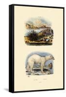 Polar Bear, 1833-39-null-Framed Stretched Canvas